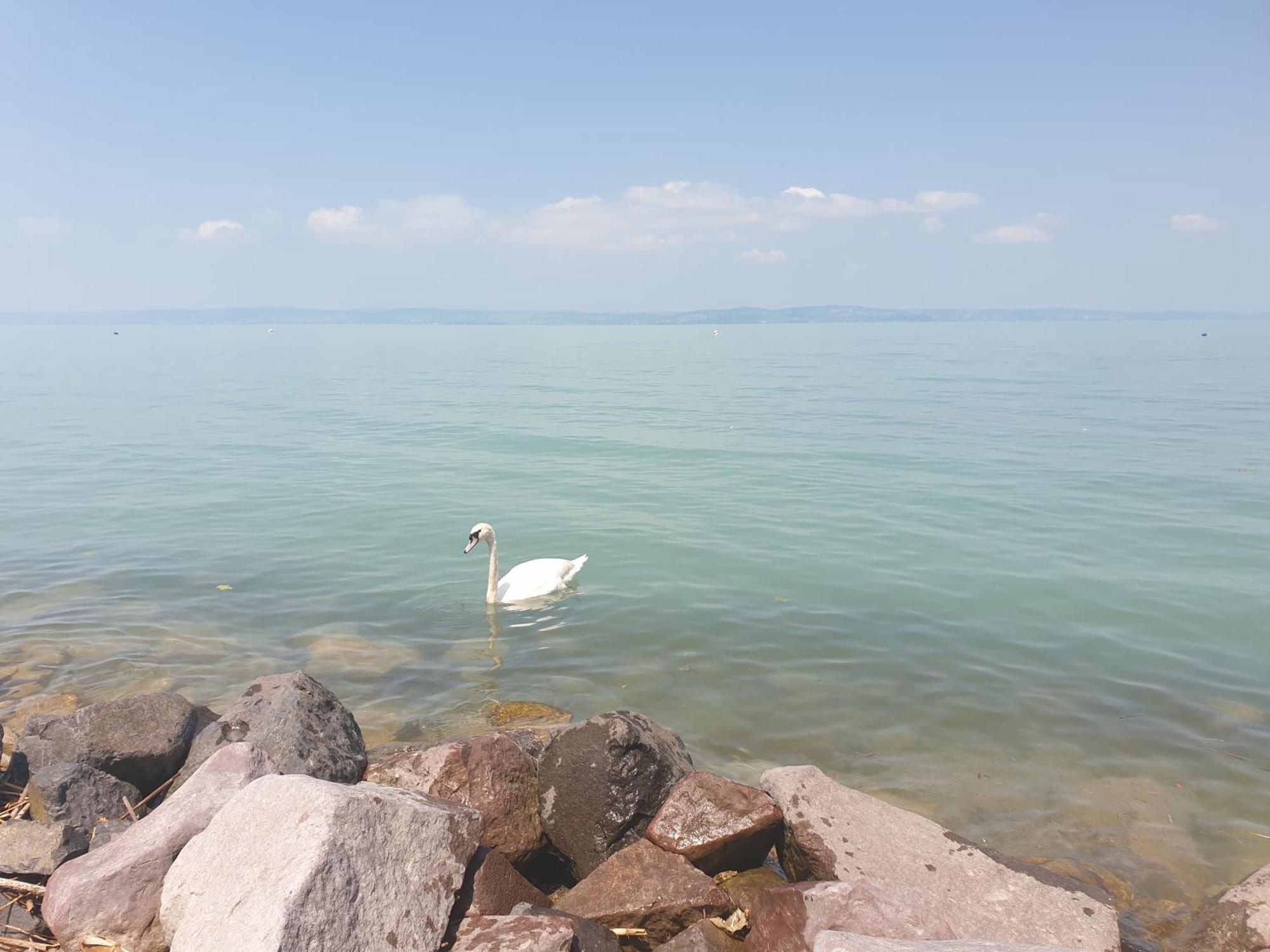 שיופוק Balaton Lakeside Residence מראה חיצוני תמונה